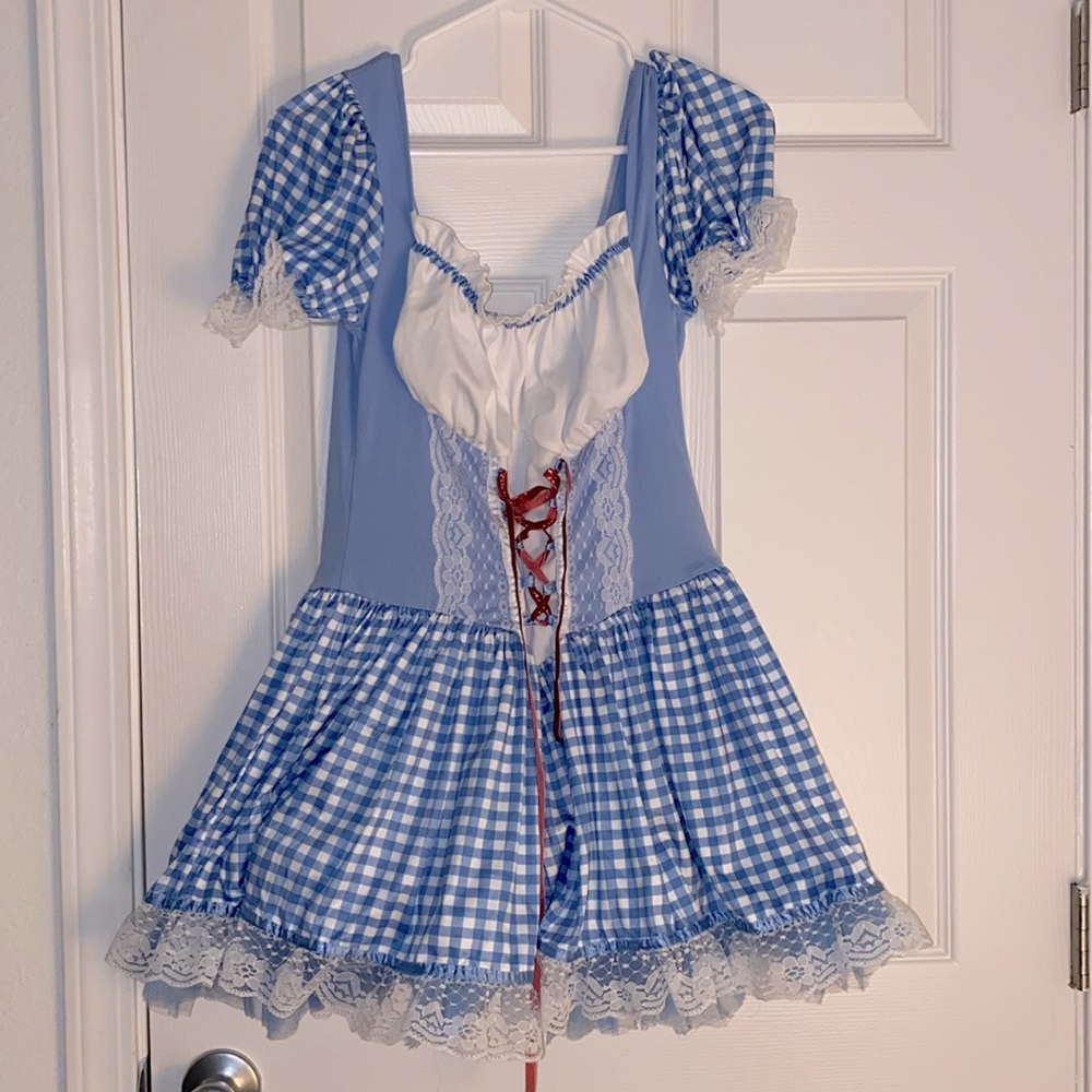 Wizard of Oz Dorothy costume